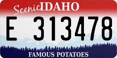 ID license plate E313478
