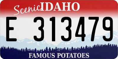 ID license plate E313479