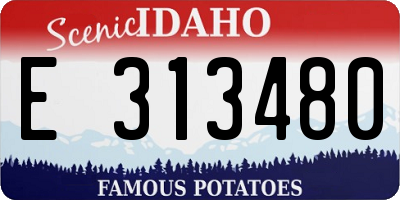 ID license plate E313480