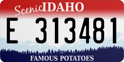 ID license plate E313481