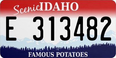 ID license plate E313482