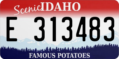 ID license plate E313483