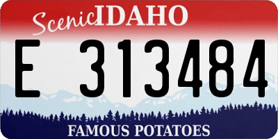ID license plate E313484