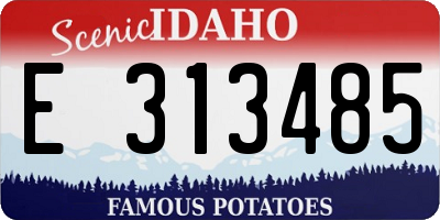 ID license plate E313485