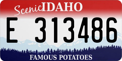 ID license plate E313486
