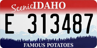 ID license plate E313487