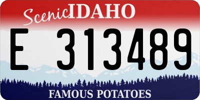 ID license plate E313489