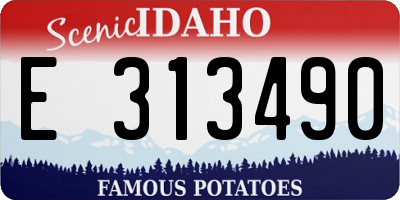 ID license plate E313490