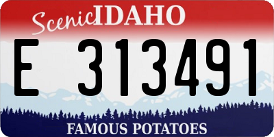 ID license plate E313491