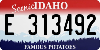 ID license plate E313492