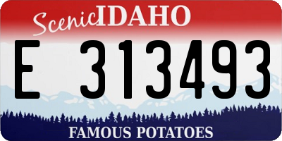 ID license plate E313493