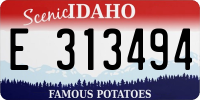 ID license plate E313494