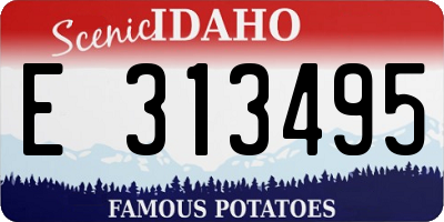 ID license plate E313495