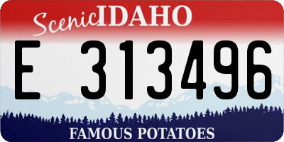 ID license plate E313496