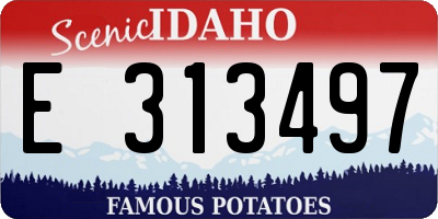 ID license plate E313497