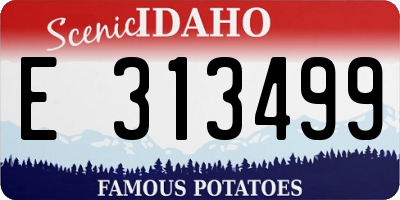 ID license plate E313499