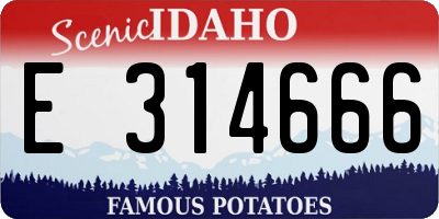 ID license plate E314666