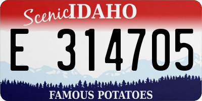 ID license plate E314705