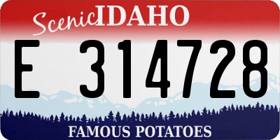 ID license plate E314728