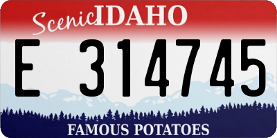 ID license plate E314745