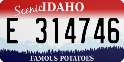 ID license plate E314746