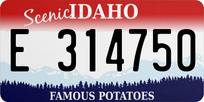 ID license plate E314750