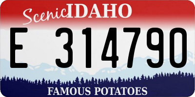 ID license plate E314790