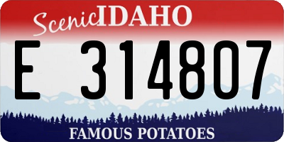 ID license plate E314807