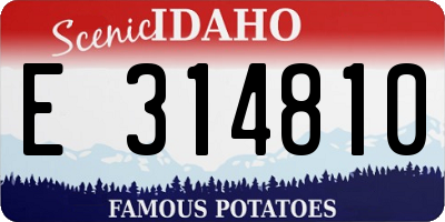 ID license plate E314810