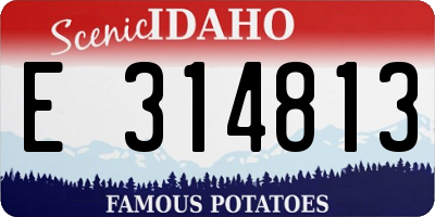 ID license plate E314813