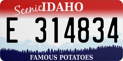 ID license plate E314834