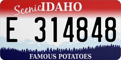 ID license plate E314848