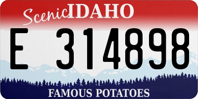 ID license plate E314898