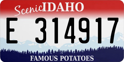 ID license plate E314917