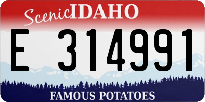 ID license plate E314991