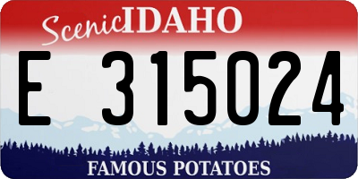 ID license plate E315024