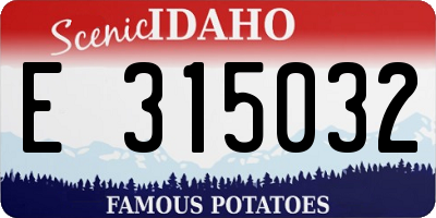 ID license plate E315032