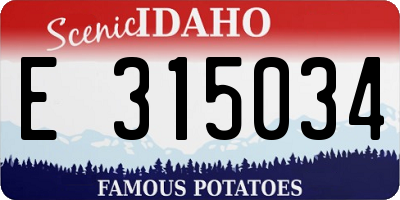 ID license plate E315034