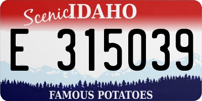 ID license plate E315039