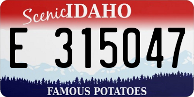 ID license plate E315047