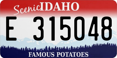 ID license plate E315048