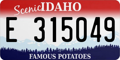 ID license plate E315049