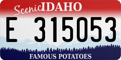 ID license plate E315053