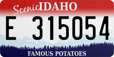 ID license plate E315054