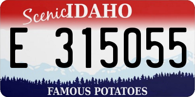 ID license plate E315055