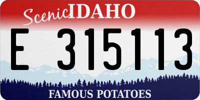 ID license plate E315113