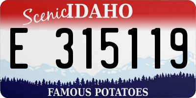 ID license plate E315119