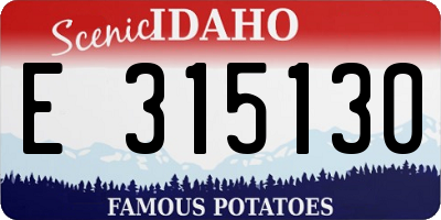 ID license plate E315130