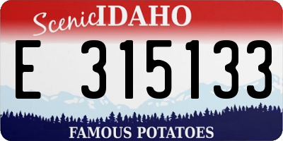 ID license plate E315133