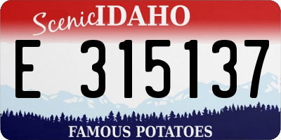 ID license plate E315137